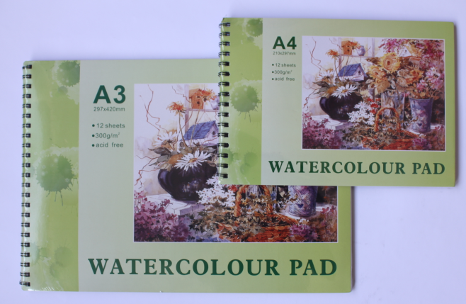 300g A4x12sheet watercolour
