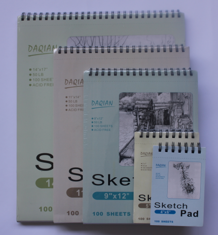 100g 11'x14' 100sheet sketch pad