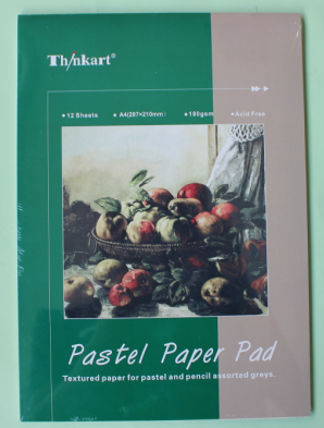 180g A4x12 sheet pastel paper pad