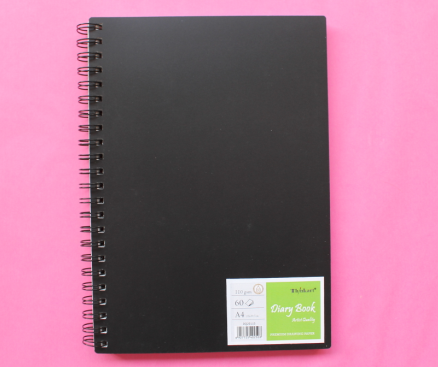 110g A3x60sheet diary book