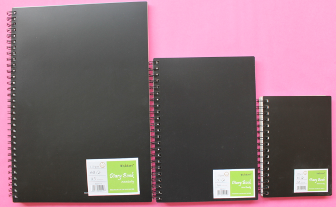 110g A5x60sheet diary book