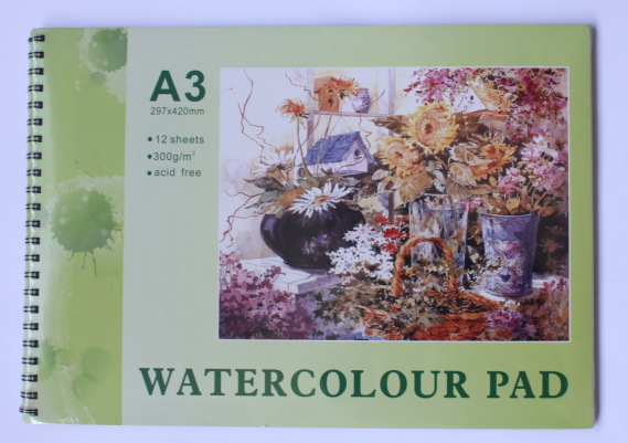 300g A3x12sheet watercolour