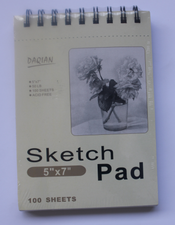 100g 4'x6' 100sheet sketch pad